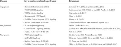 It takes two to tango: Widening our understanding of the onset of schizophrenia from a neuro-angiogenic perspective